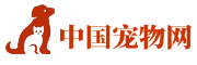 廣東致鴻物流器材有限公司